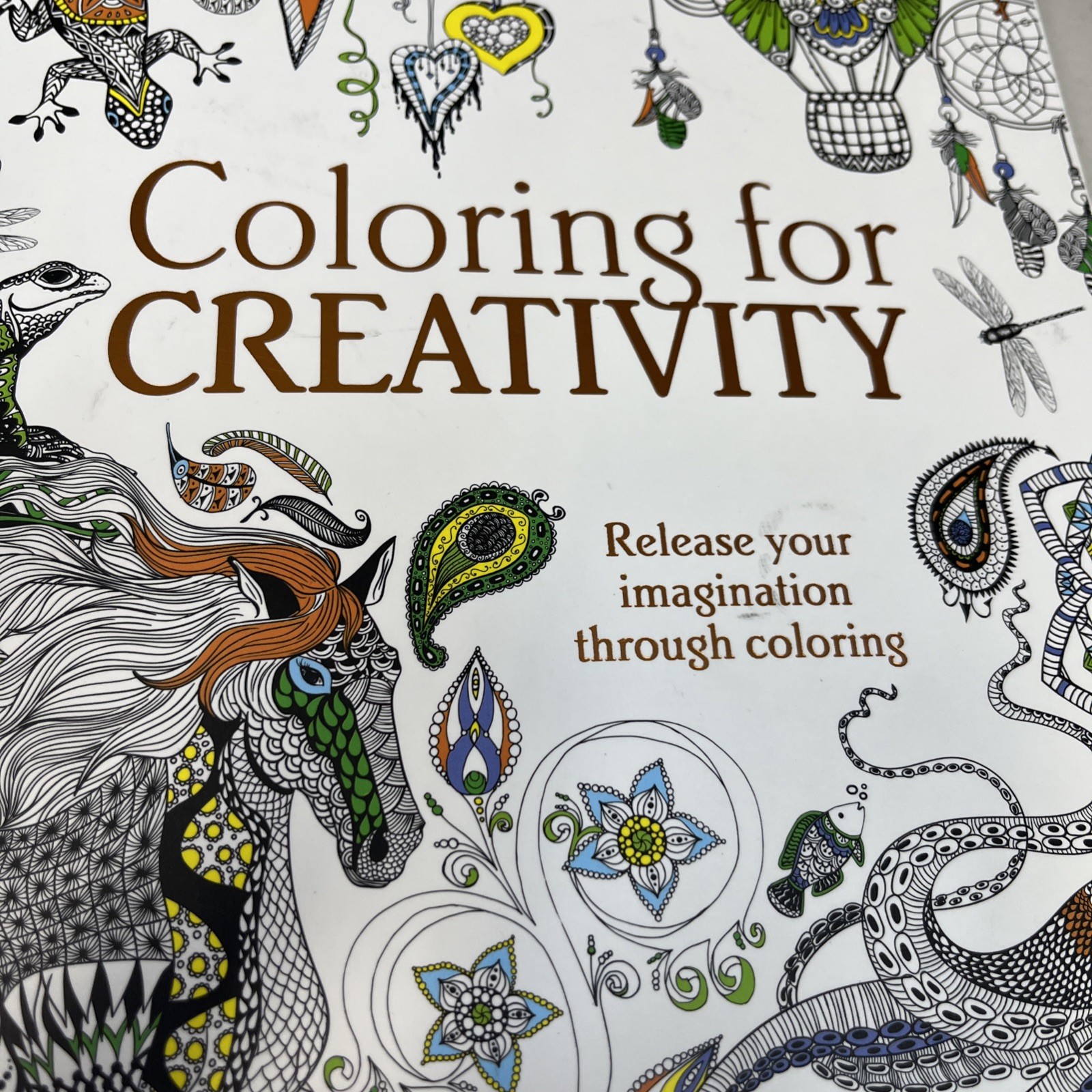 Adult Coloring for Creativity Book 288 Pages New Copyright 2015