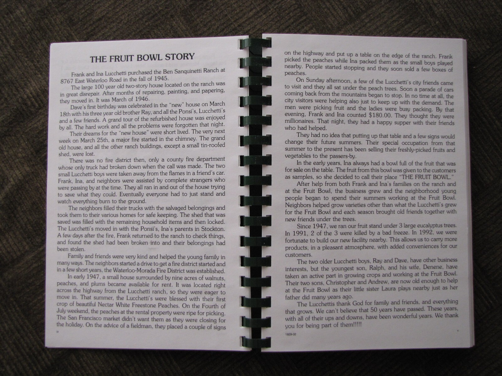 FAVORITE RECIPES Variety Pack by Ina Lucchetti 244+ pages from „THE FRUIT BOWL“