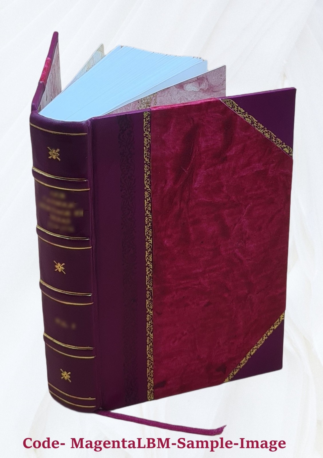 Die Petrefactenkunde auf ihrem jetzigen Standpunkte durch die Be [Leather Bound]