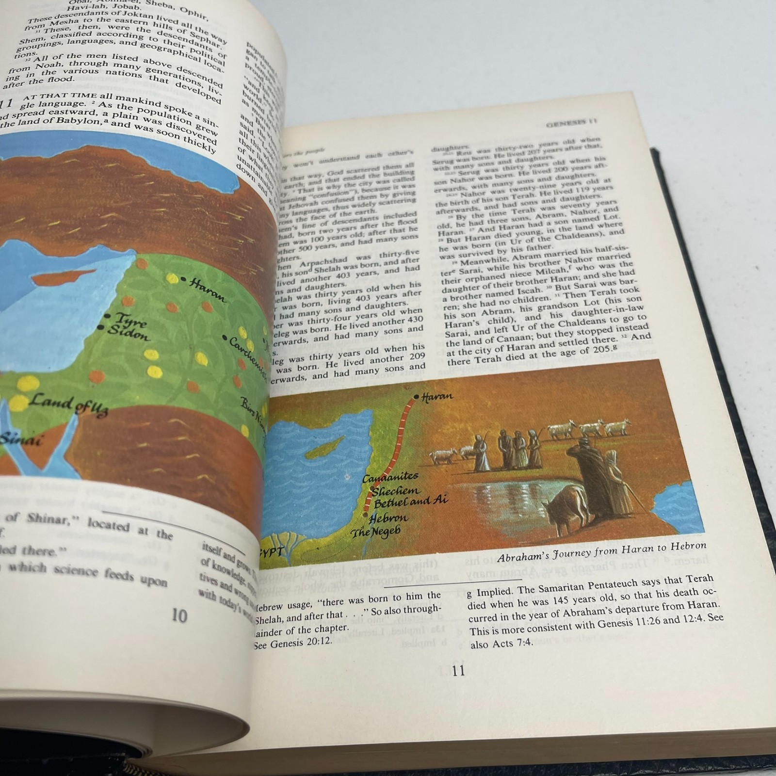 VTG – The Living Bible – Holman Illustrated Edition – 1973