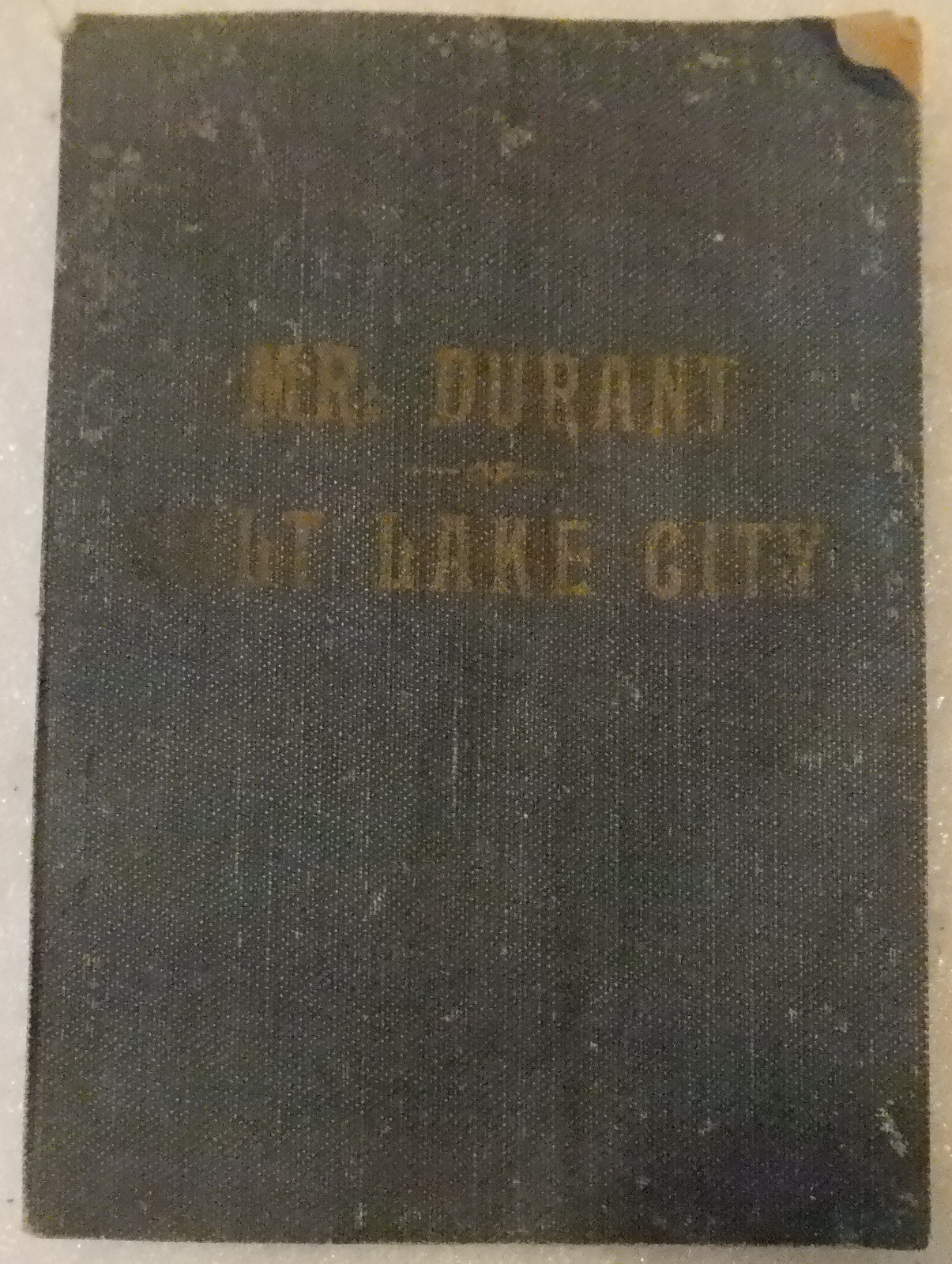 Mr. Durant of Salt Lake City: „That Mormon“./ FAIR 1905 Softcover. 221 pages.