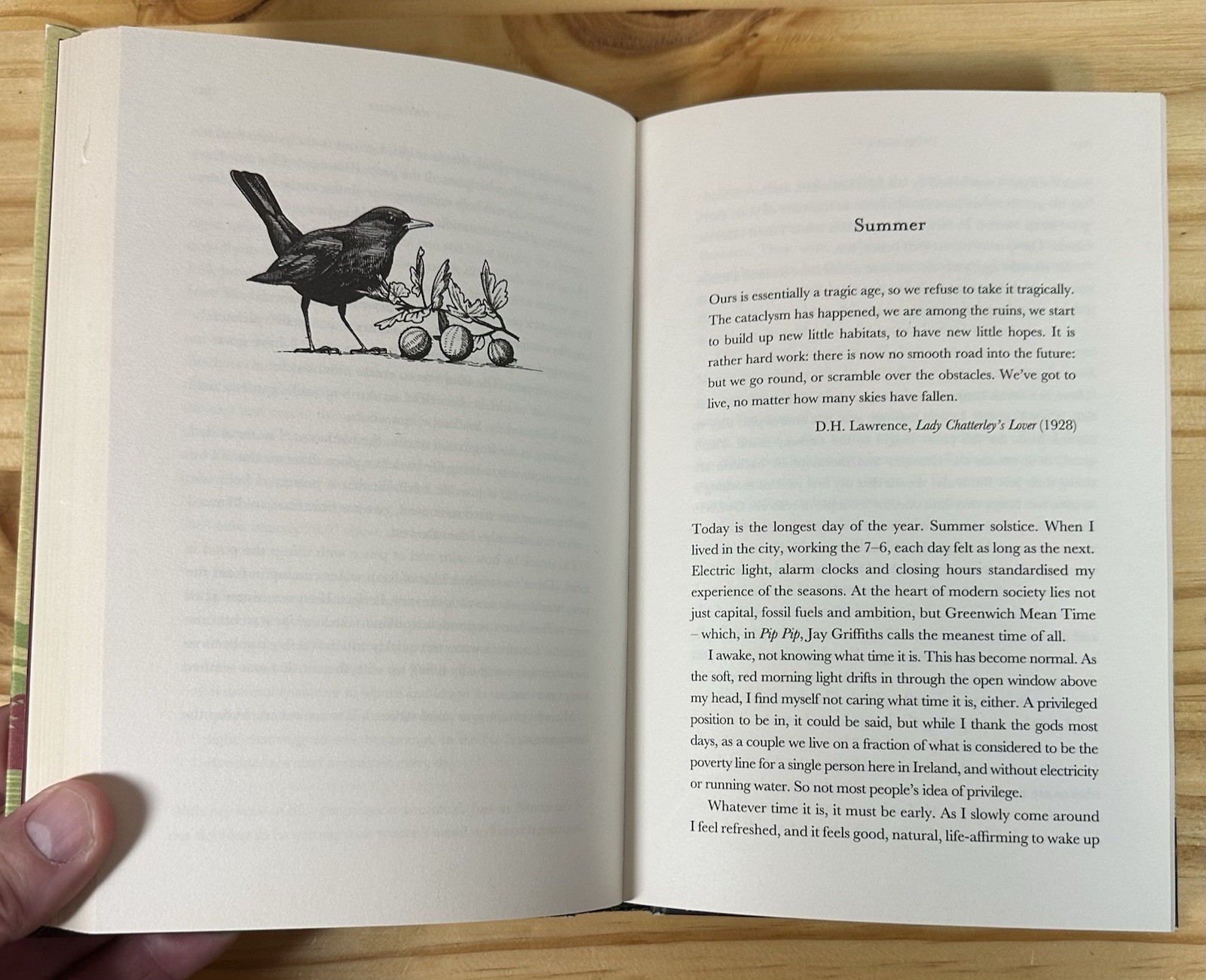 THE WAY HOME: TALES FROM A LIFE WITHOUT TECHNOLOGY By Mark Boyle – Hardcover