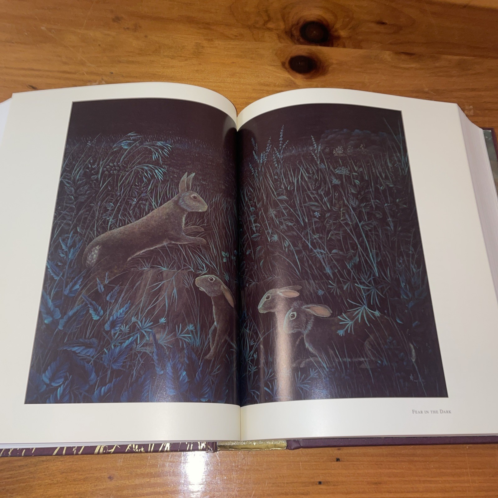 WATERSHIP DOWN Richard Adams & Aldo Galli 2012 Atheneum HB