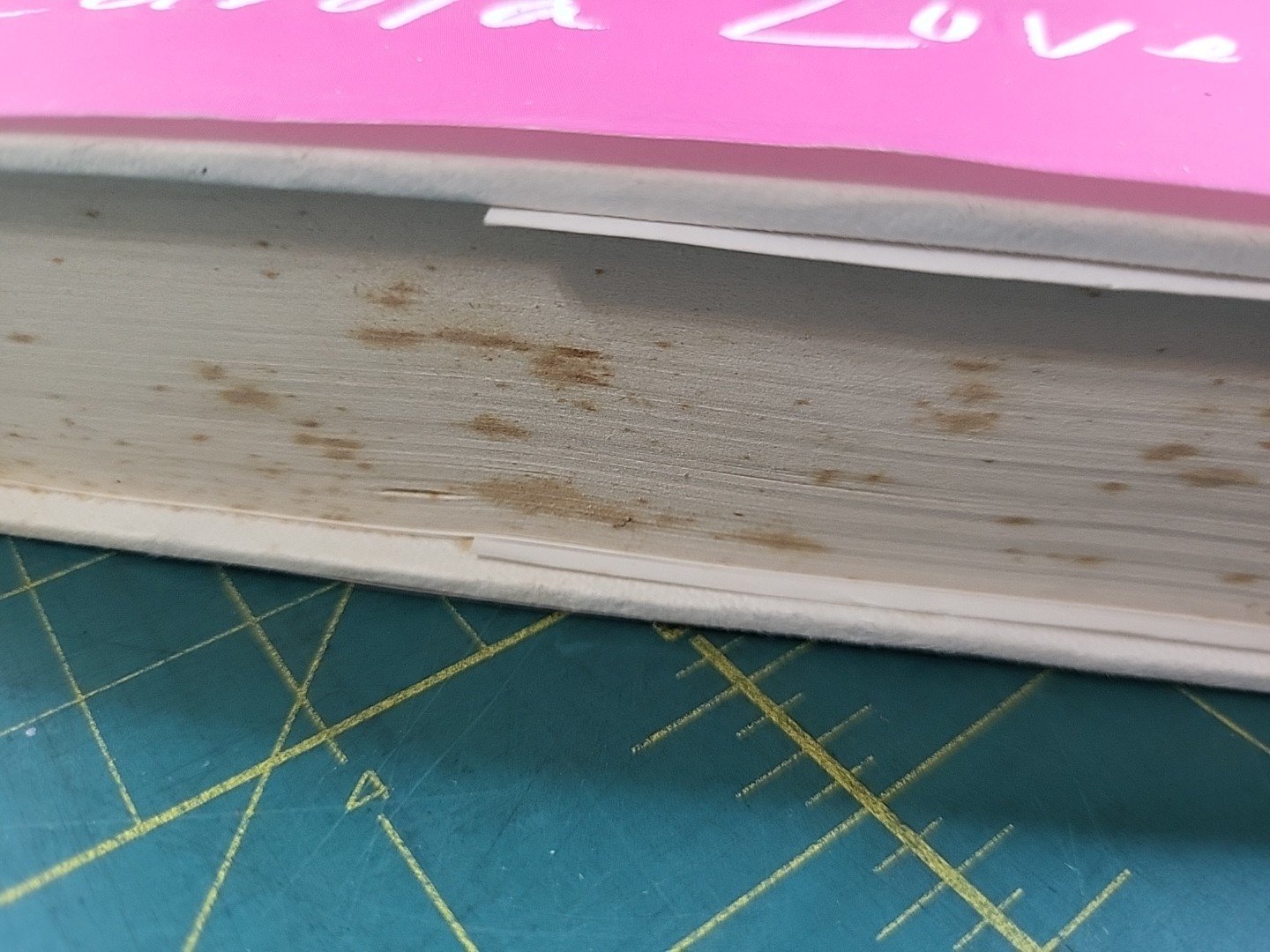 Tell Me Lies: A Novel by Carola Lovering 2018 Hardcover First Atria Edition DJ