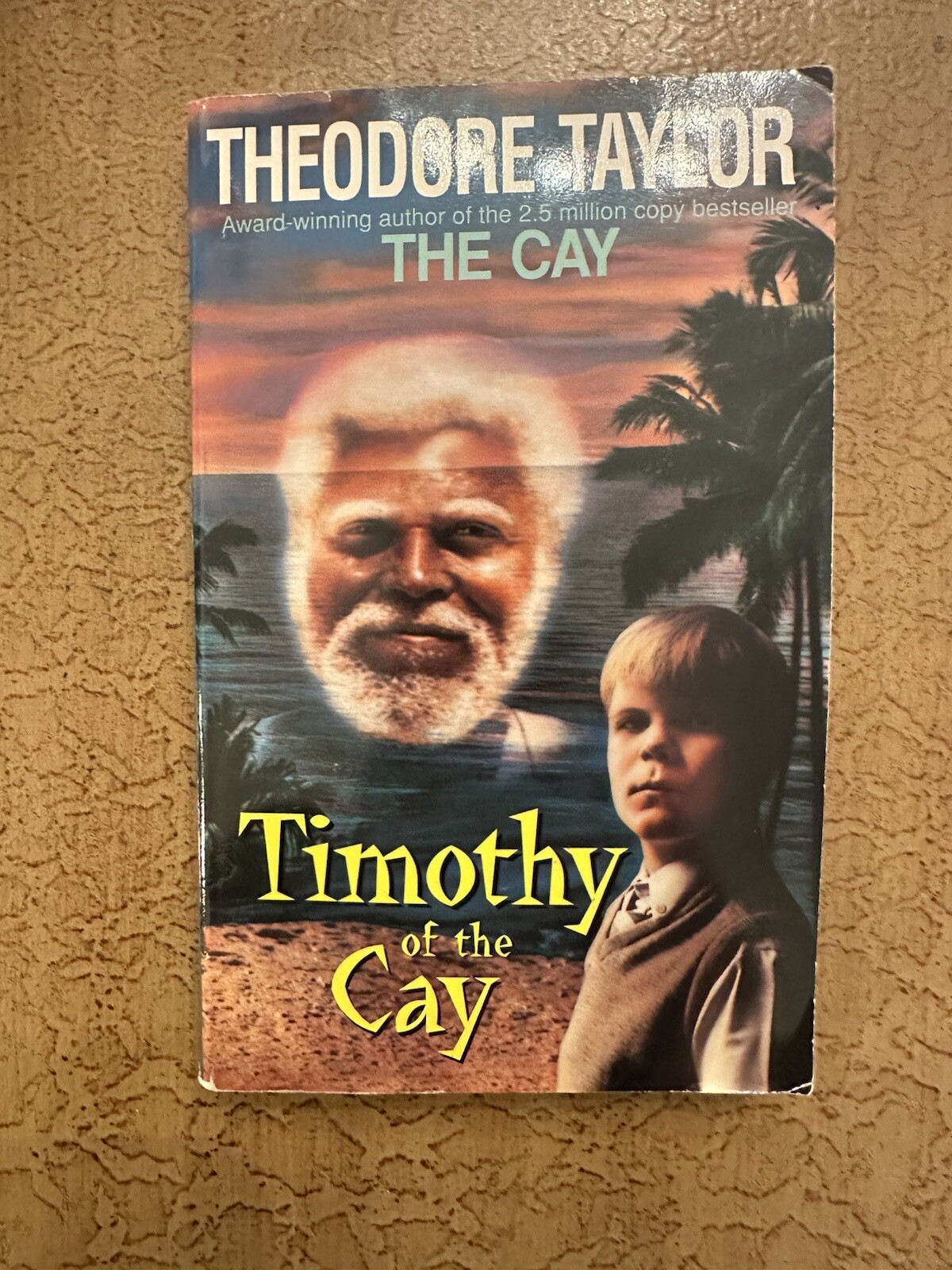 Timothy of the Cay