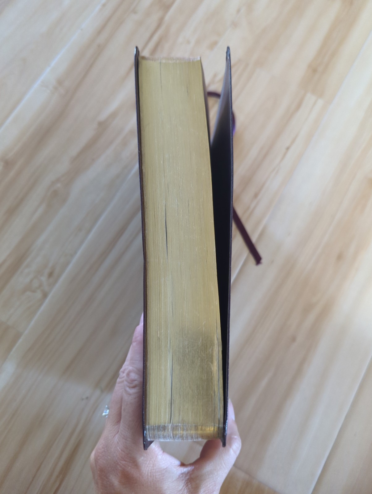 Jack Van Impe Prophecy Bible KJV Red Letter Edition Larger Font Limited Special