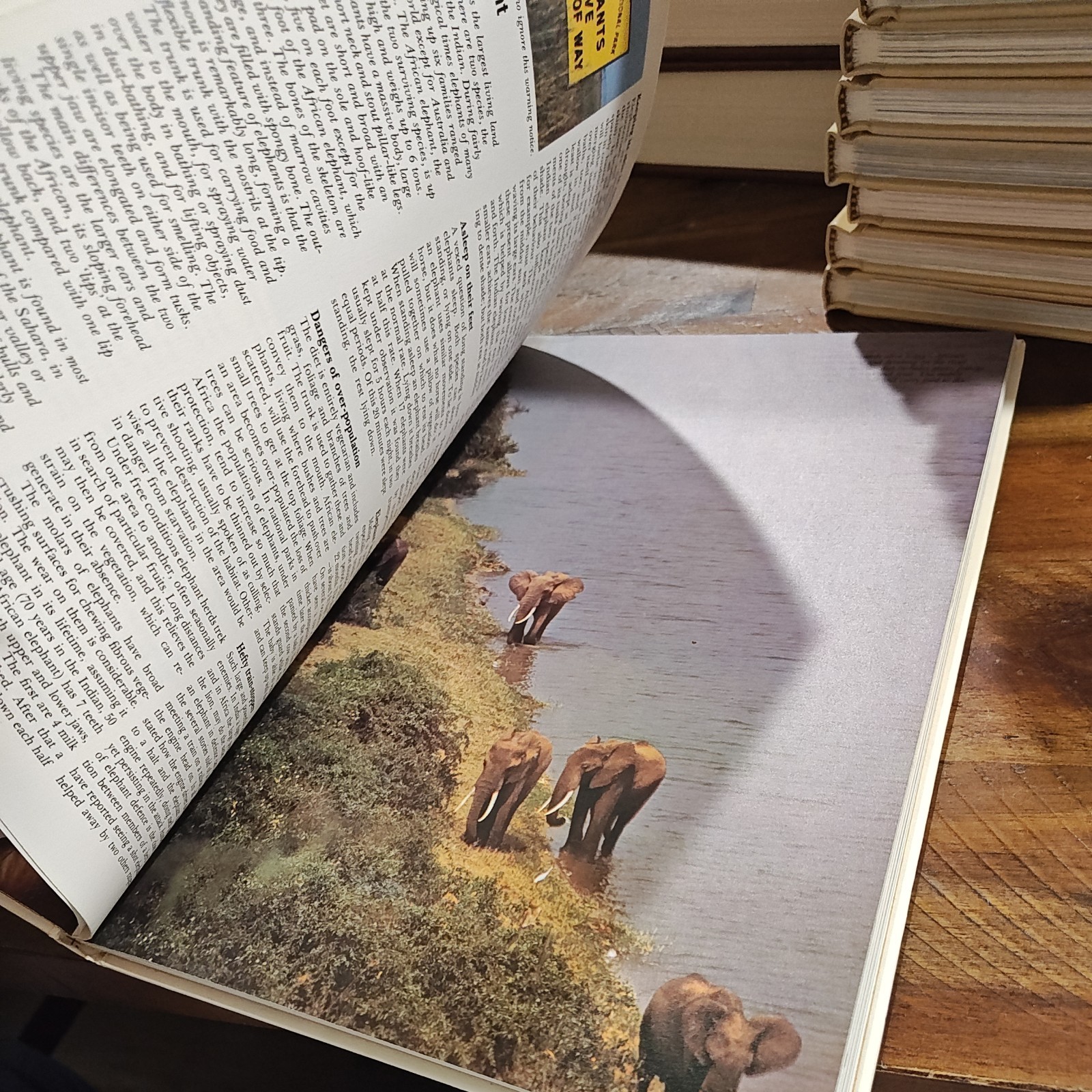 Vintage Funk and Wagnalls 1969 Hardcover Wildlife Encyclopedia Set Volumes 1-20
