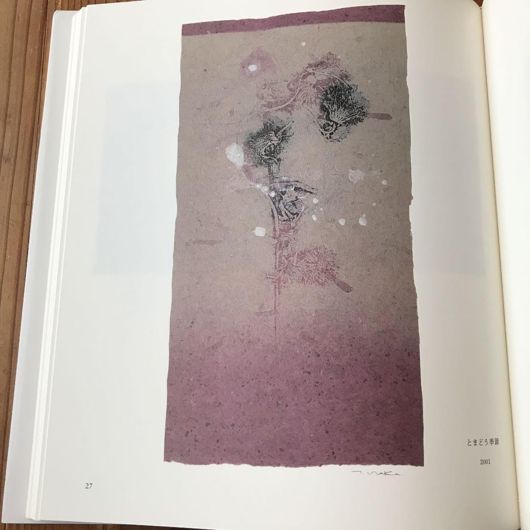 Another Satsuki Copperplate Print Book Tadayoshi Nakabayashi Art 114 Pages