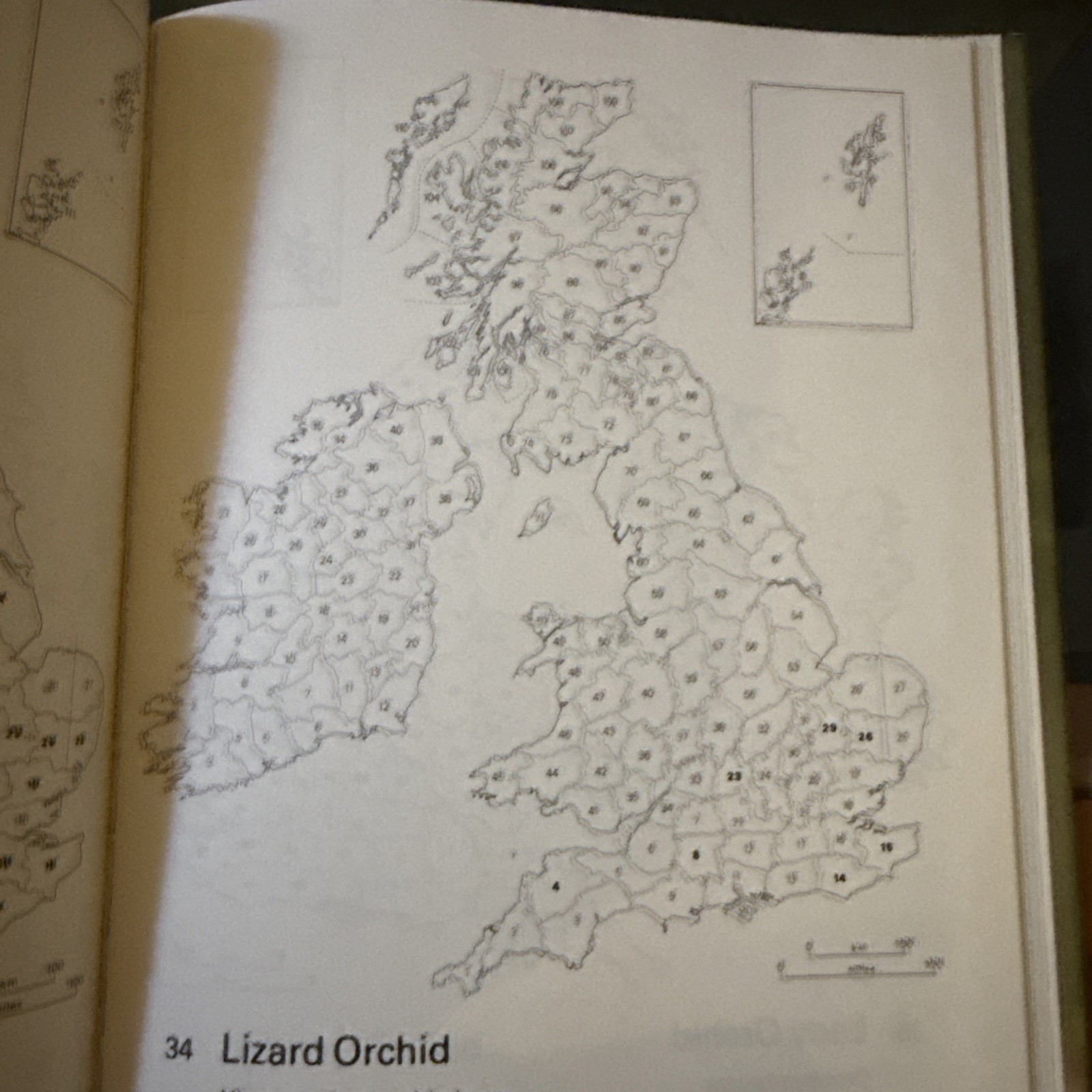 Orchids of Britain: A Field Guide by Lang, David C. Hardback Book The Fast Free