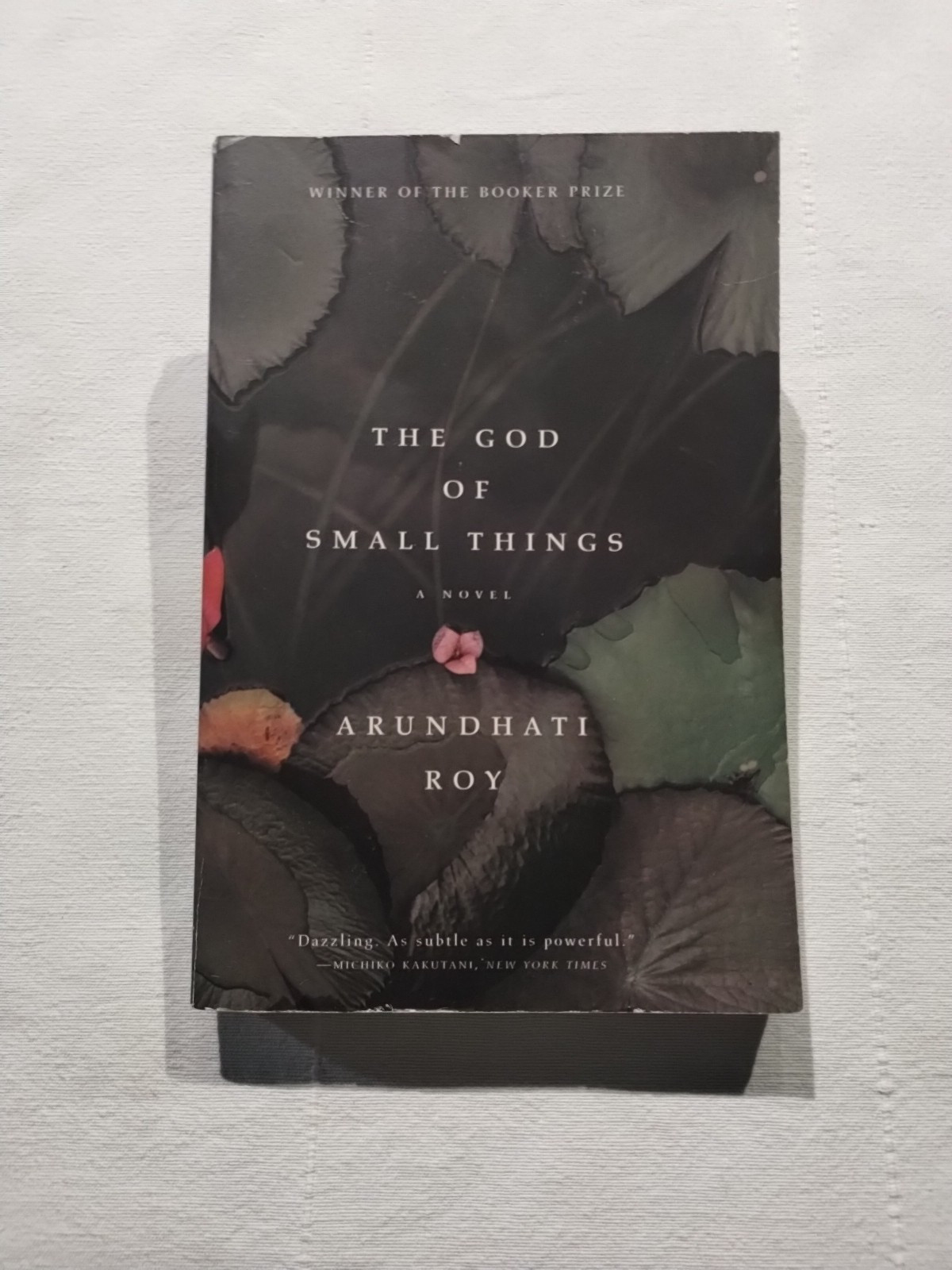 The God of Small Things by Arundhati Roy 1998 Paperback