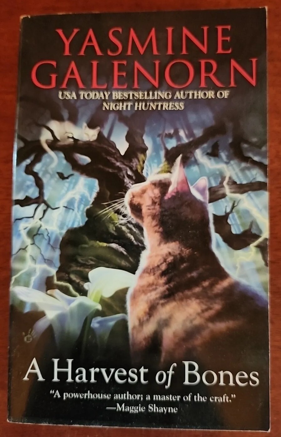 Chintz n China Paranormal Romance Mystery Books 1 To 5 By Yasmine Galenorn