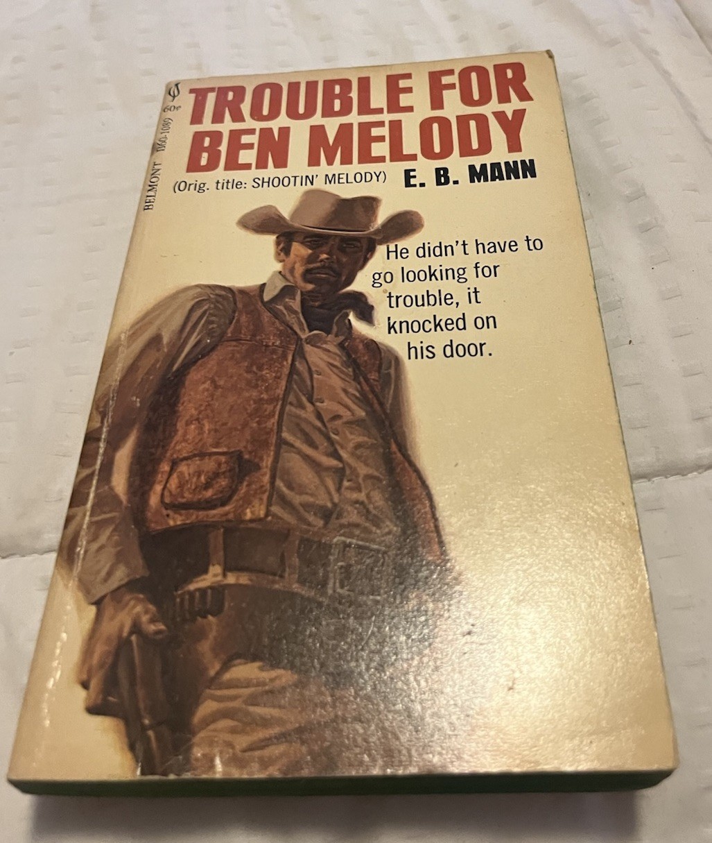 Lot Of 10 Vintage Western Paperback Books (See Photos For Titles) S15