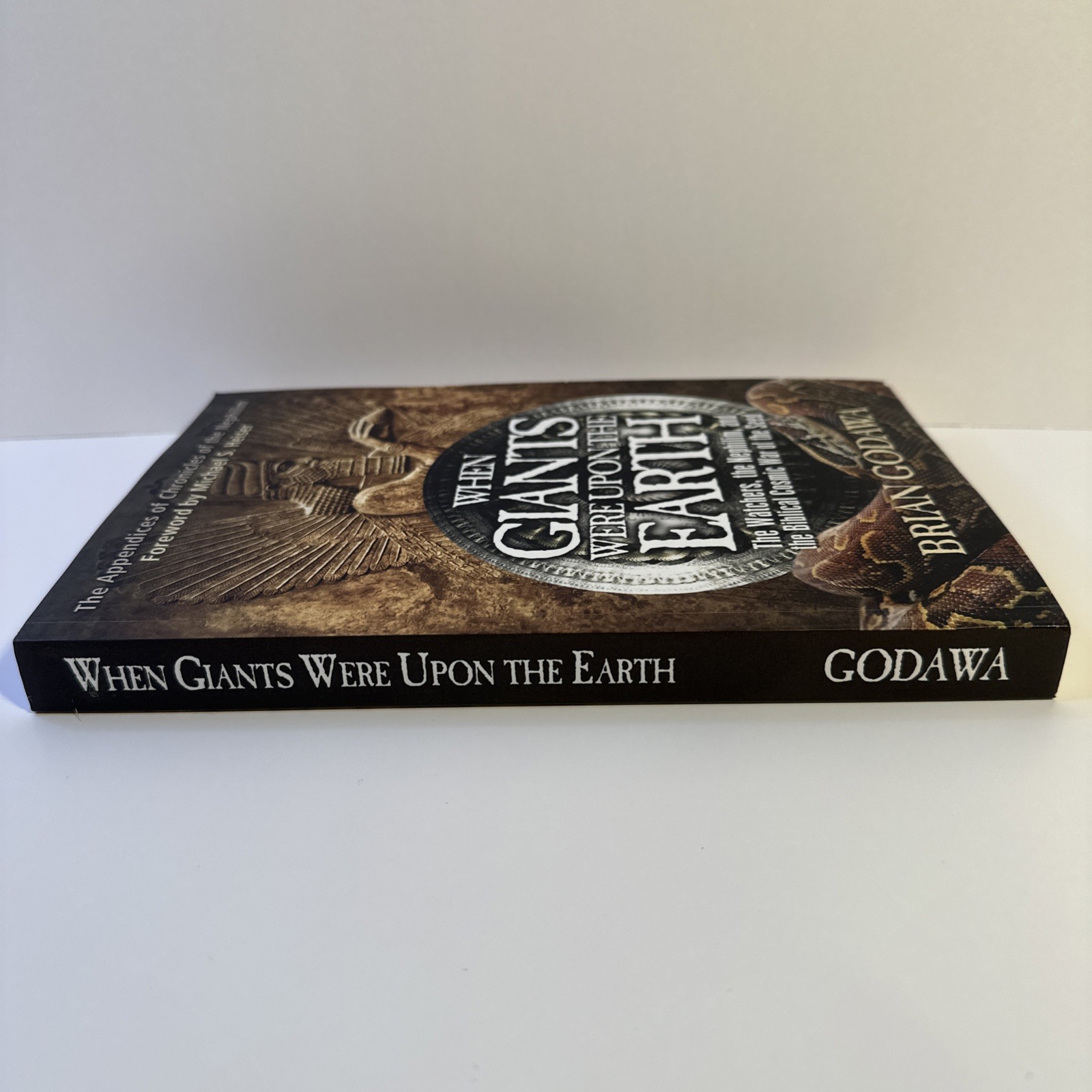 When Giants Were Upon the Earth: The …, Godawa, Brian pre-owned