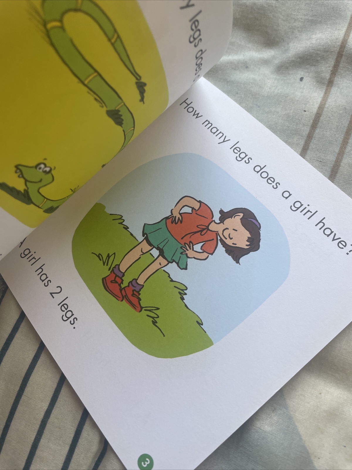 FIRST LITTLE READERS, LIZ CHARLESWORTH, LOTS OF LEGS, 14 by 14CM