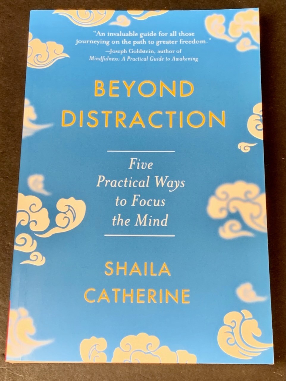 Mindfulness Meditation – Lot of 4 – Jon Kabat-Zinn, „Buddha‘ Brain“ – Softcover