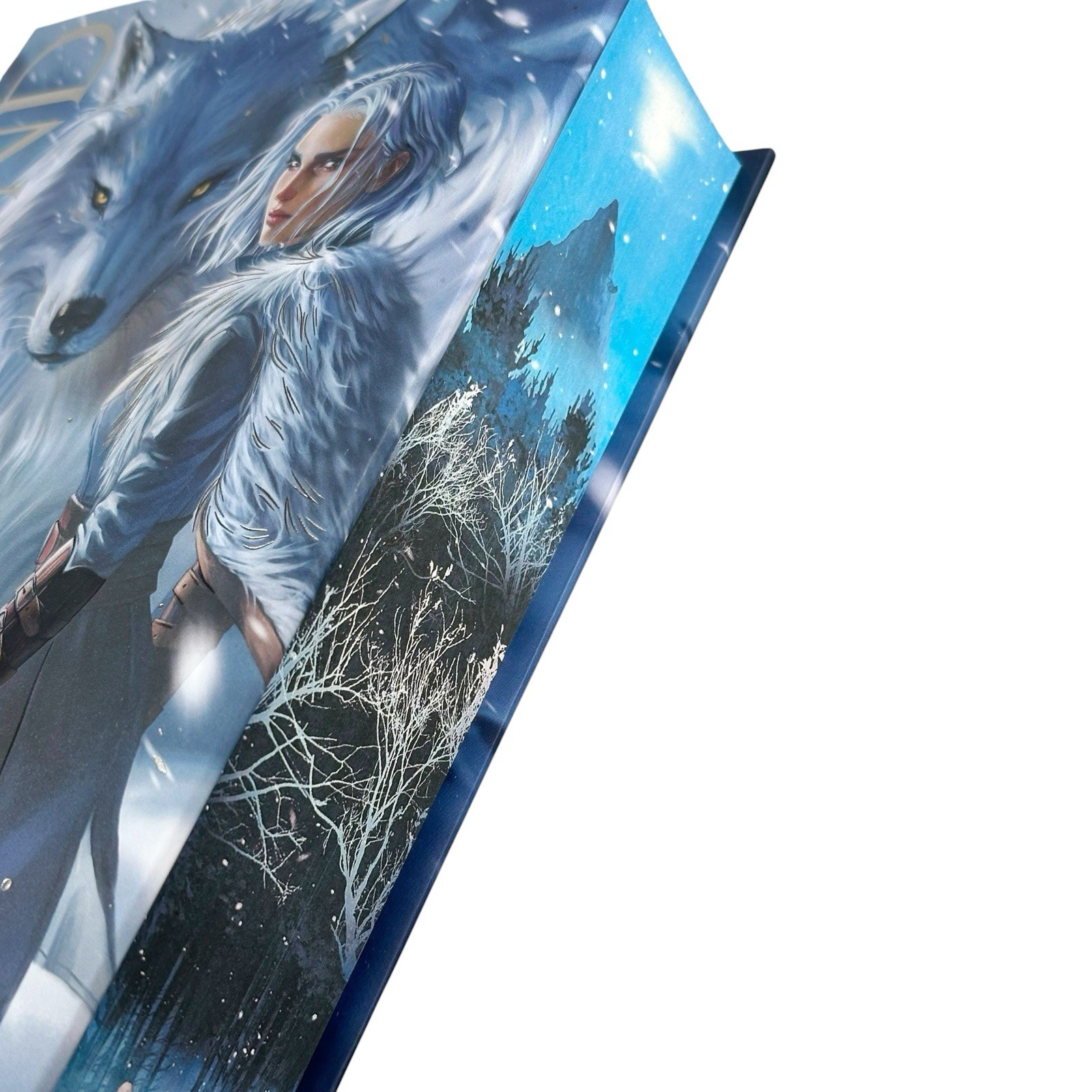 Dire Bound Fairyloot SIGNED Exclusive Edition Sable Sorensen (NEW)