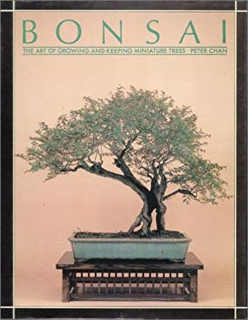 Bonsai : The Art of Growing and Keeping Miniature Trees Hardcover