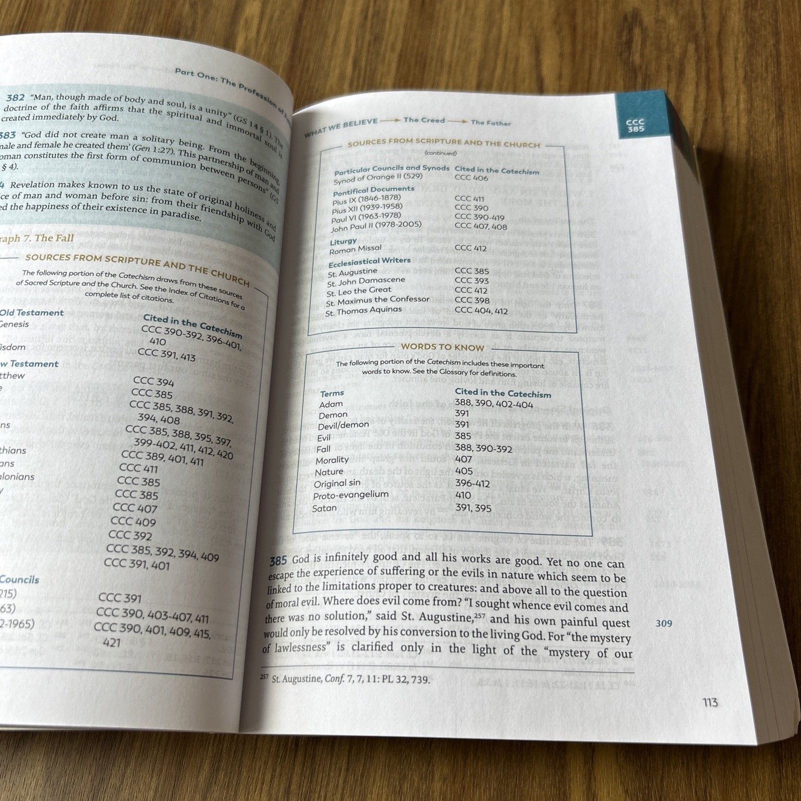 Catechism of the Catholic Church, Ascension Edition 2022 Paperback Color Coded