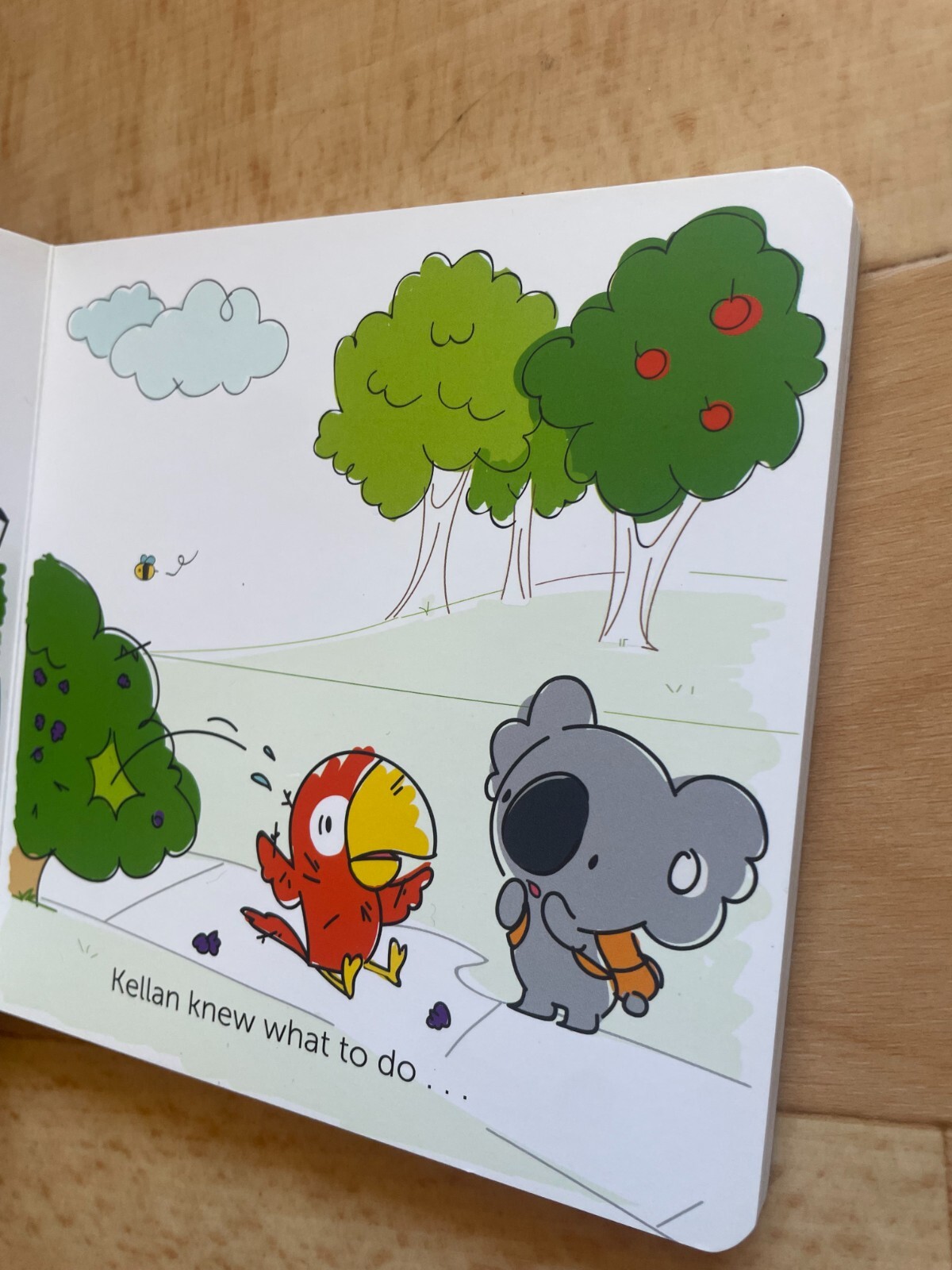 KELLAN TO THE RESCUE. BOARDED. KIWI CO. 2021 – 14 BY 14CM