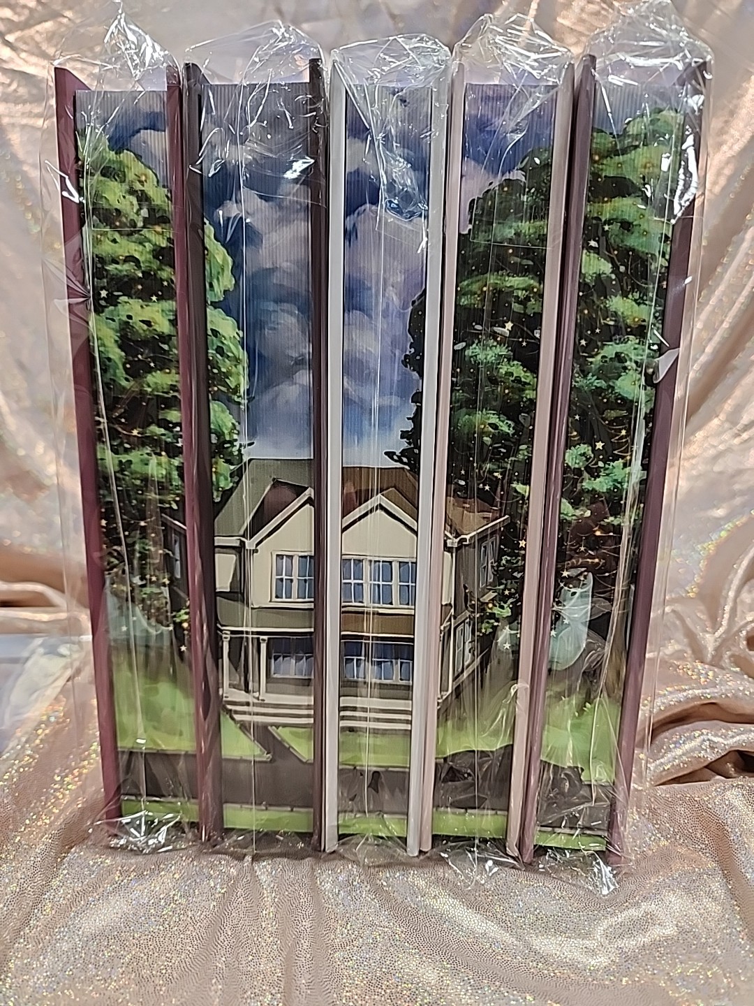 Fall Away Series by Penelope Douglas Books for Days Crate BFDC Special Editions