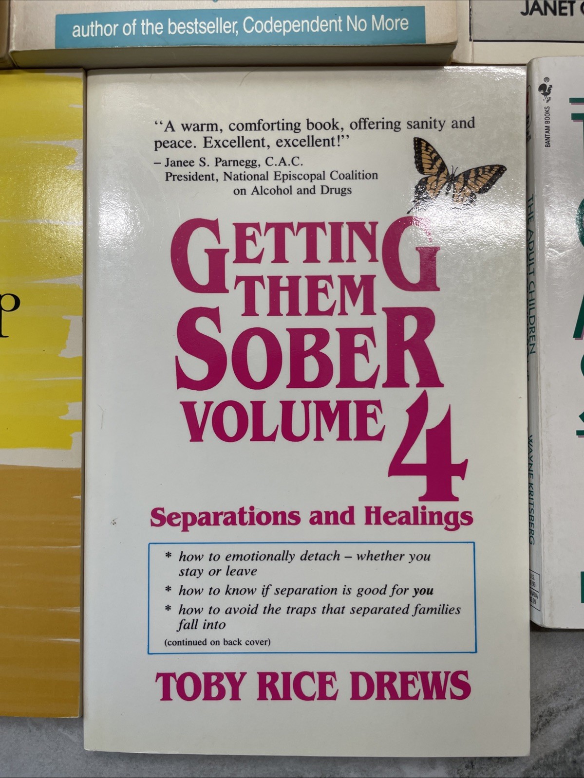 6 Books on Addiction Alcoholism Getting Sober PBK Beyond Codependency