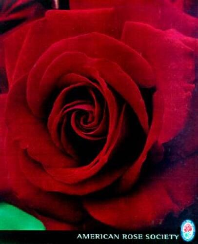 Ultimate Rose (American Rose Society) – Hardcover By DK Publishing – GOOD