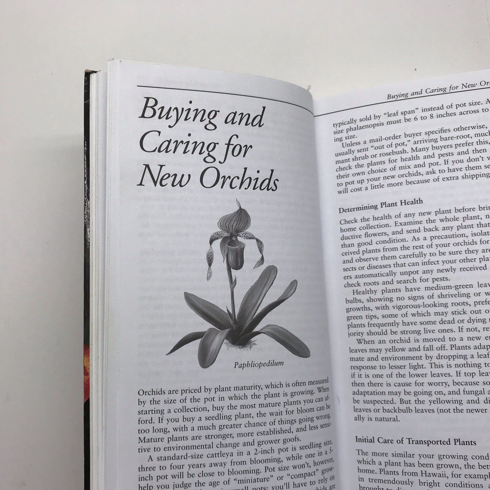 Taylor’s Guide to Orchids~1996~Judy White~Ex Library