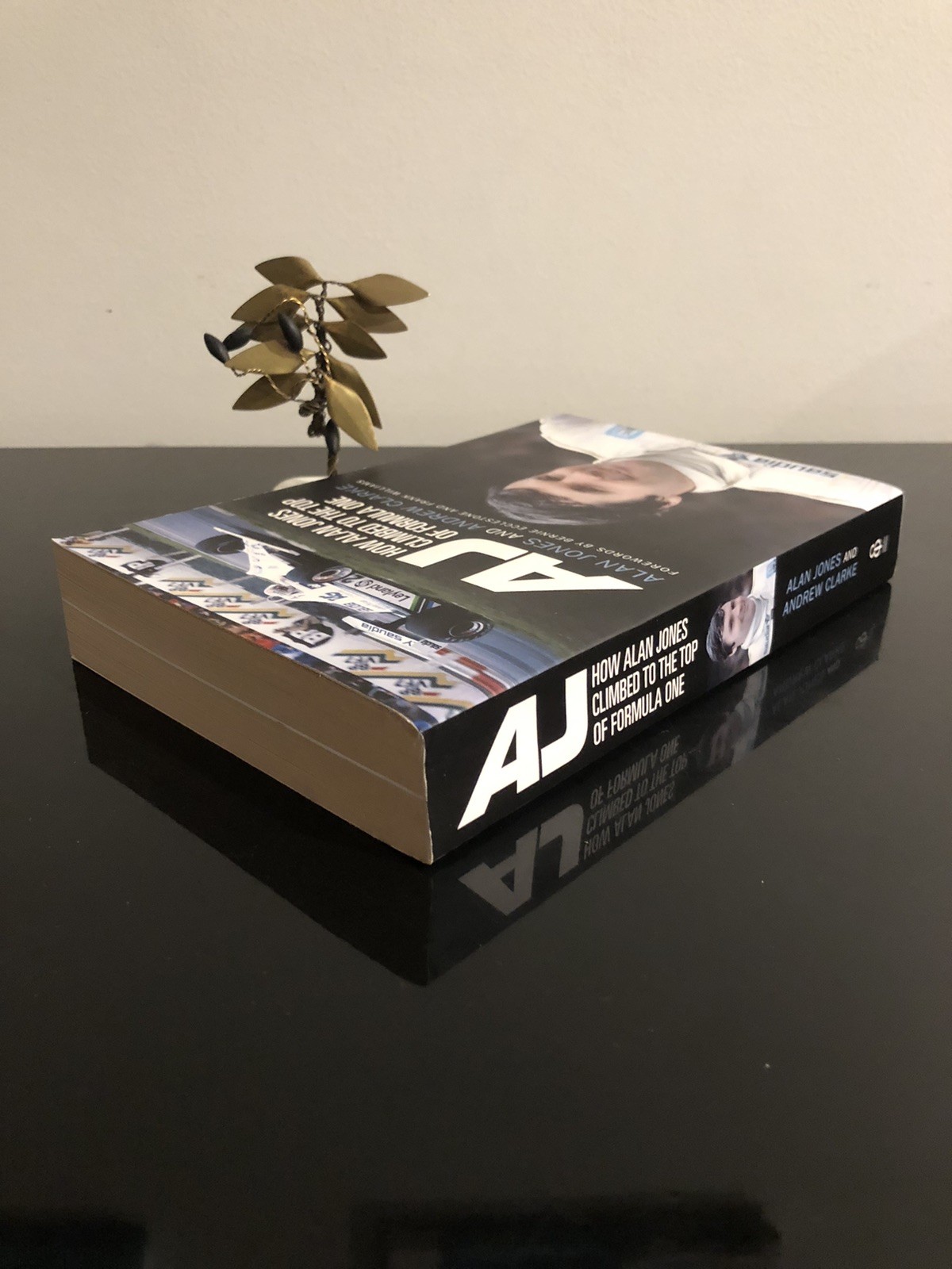 AJ How Alan Jones Climbed To The Top Of Formula One Ebury Press 2017 F.Ed/F.PrLN