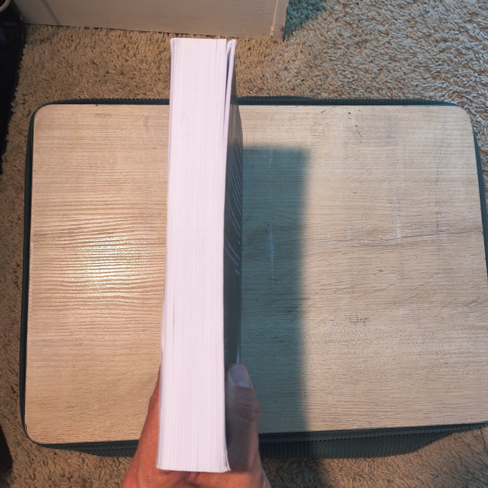 House of Leaves by Mark Z. Danielewski Trade Paperback