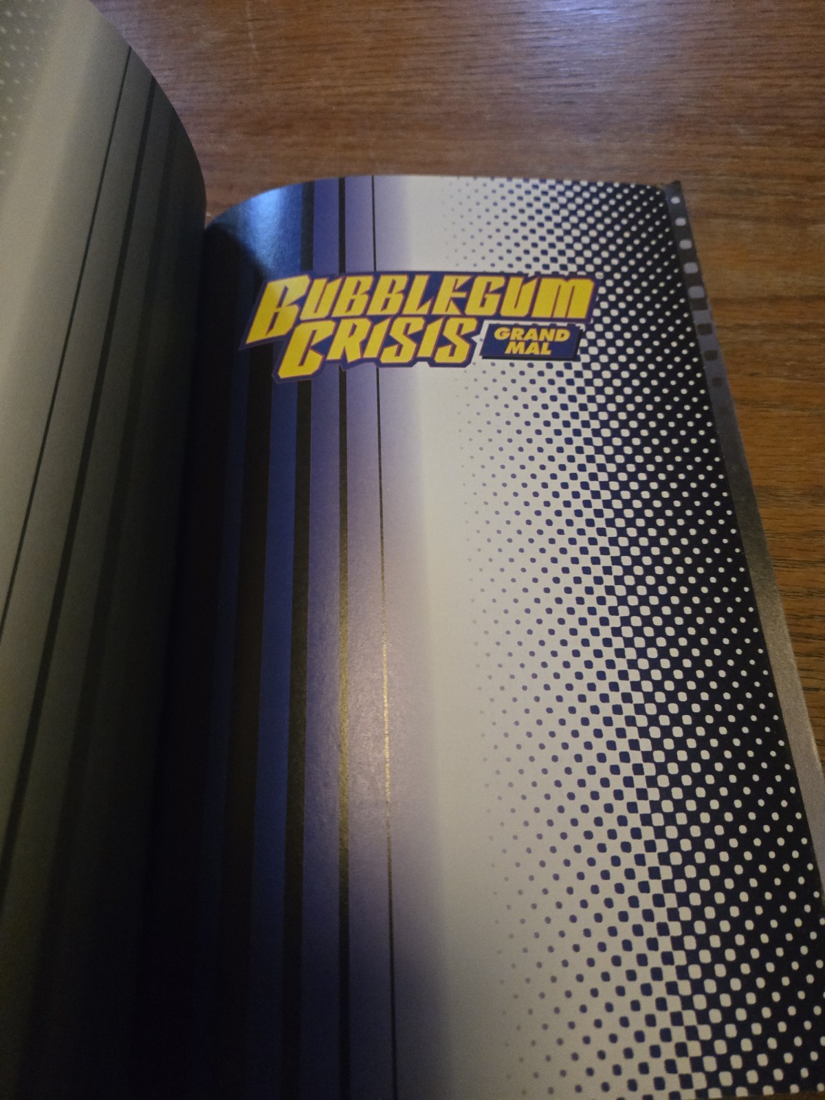 BUBBLEGUM CRISIS: GRAND MAL (Dark Horse 1995 US Collection TPB TP ~ Adam Warren)