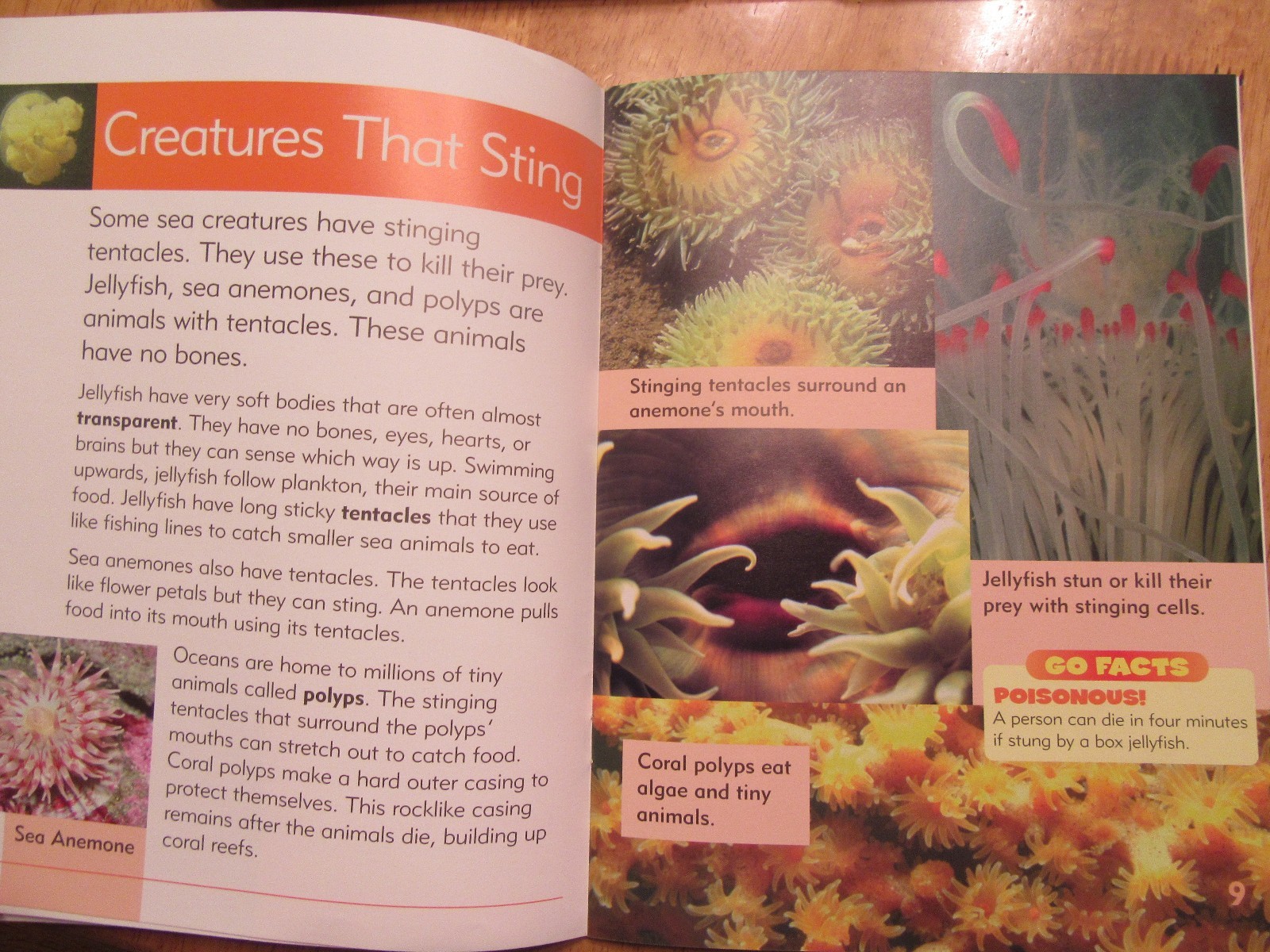 Lot of 2 NEW Go Facts Science: Sea Life & Flowers Newbridge Paperbacks Ages 6-9