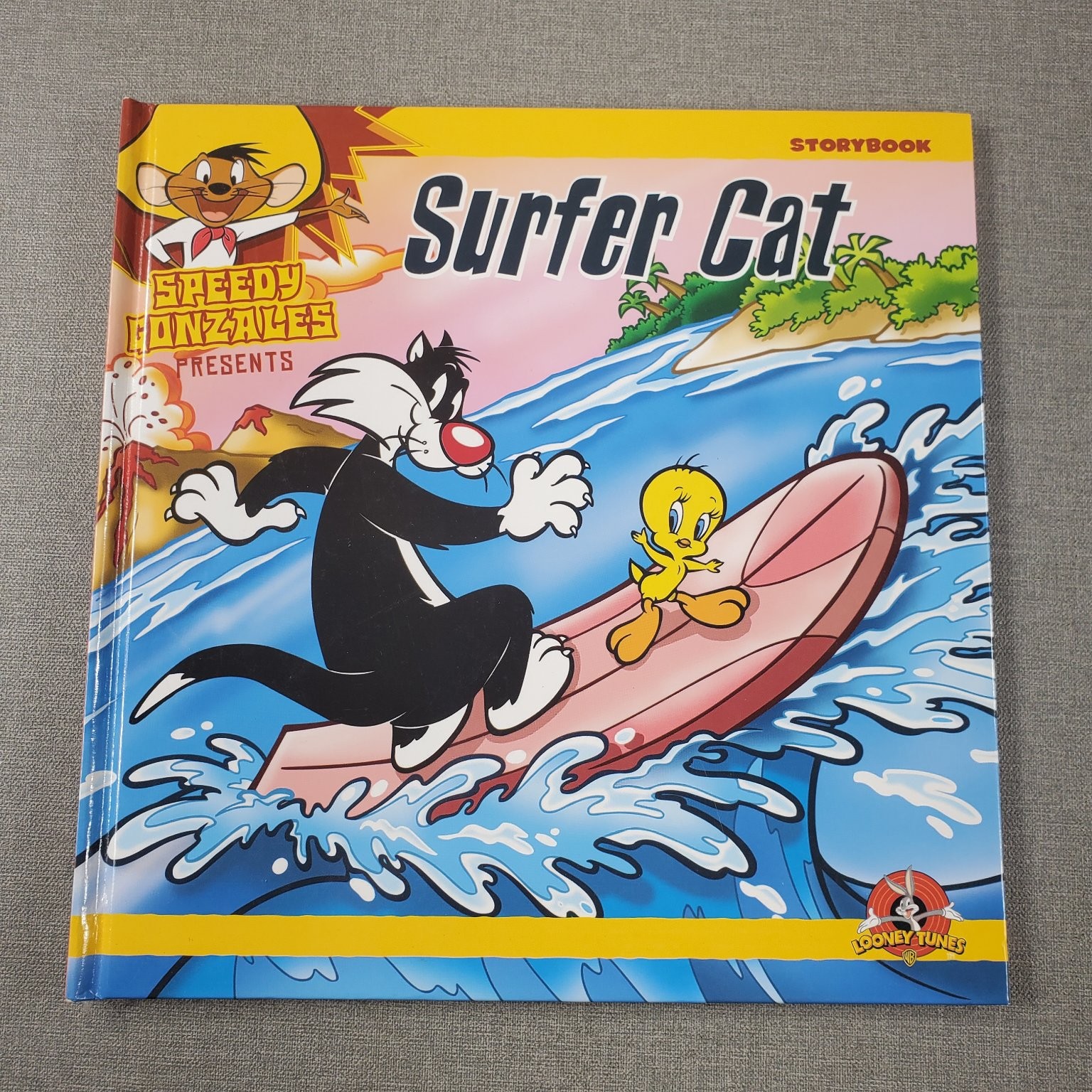 Surfer Cat Looney Tunes Storybook 2010 Vision St. Publishing Kids Book