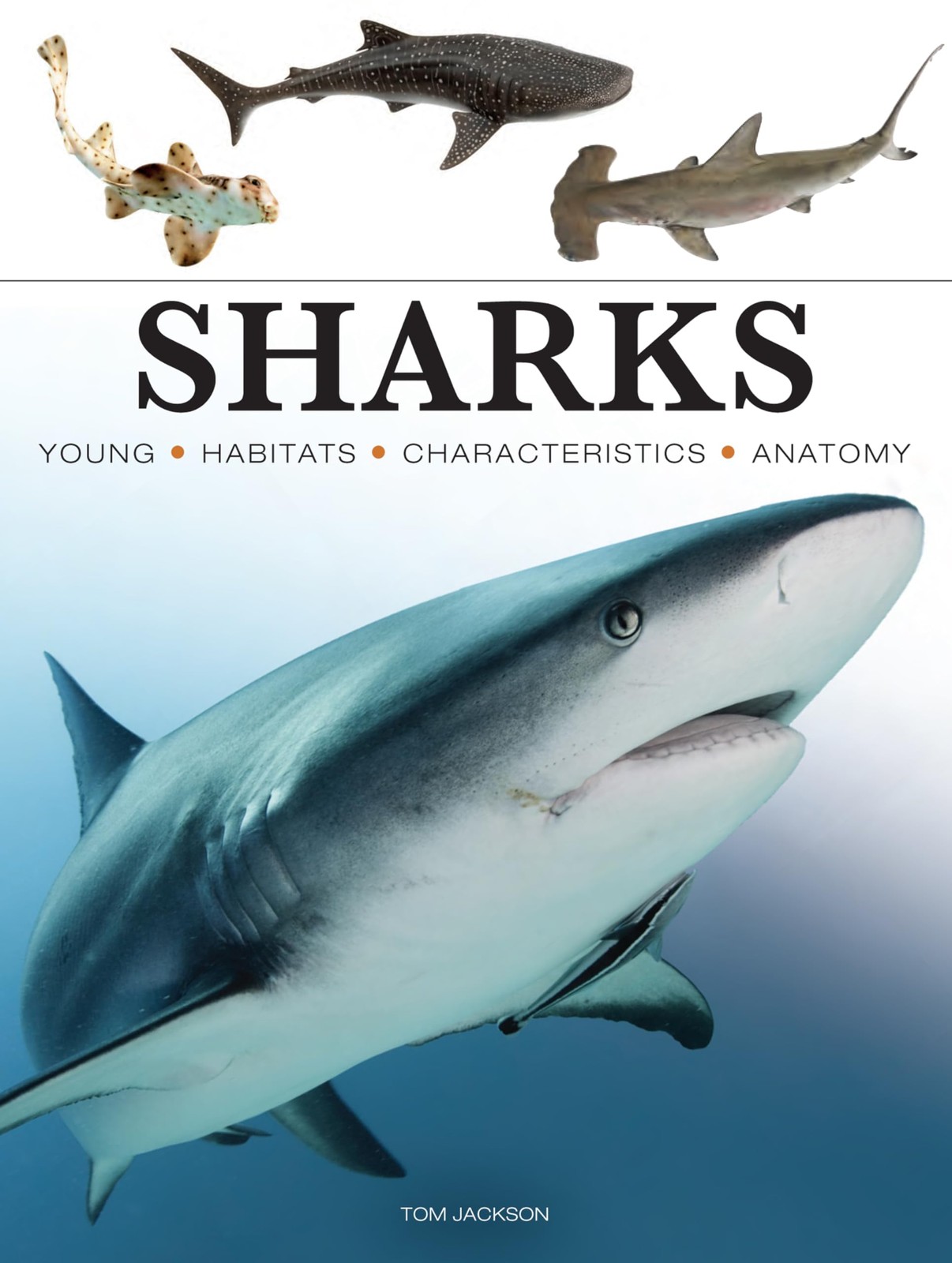 Sharks & Underwater Predators (Mini Encyclopedias) – Jackson, Tom – Good – S…