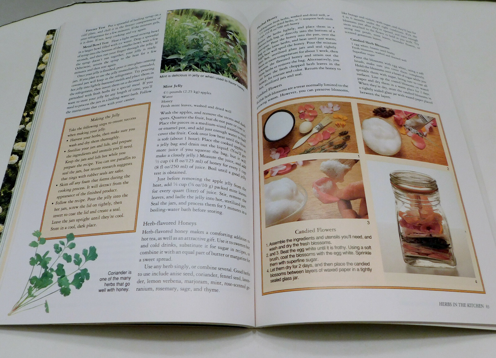 Rodale’s Successful Organic Gardening: Herbs 300 color photos 50 illustratration