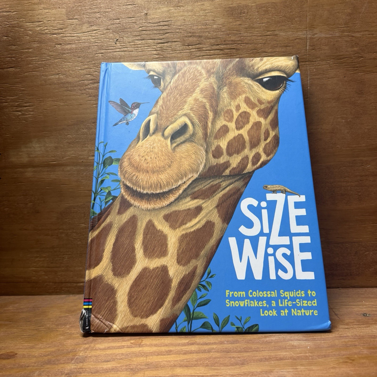 Size Wise: A Fact-Filled Look at Life-Size W… by Bedoyere, Camilla de Hardback