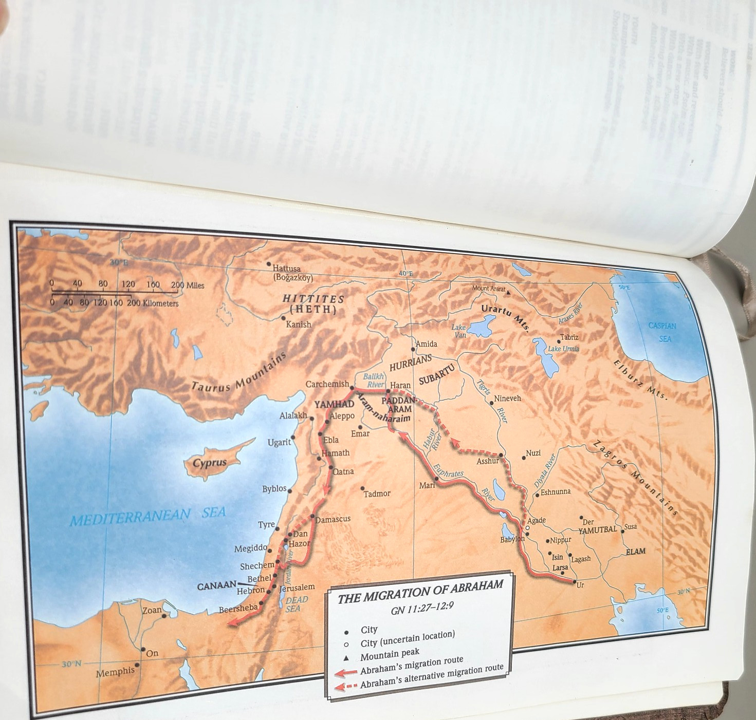 Essential Teen Study Bible : Holman Christian Standard Bible