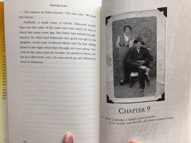 Surprising Cecilia by Denise Gonzales Abraham – Hardcover, all 221 pages clean