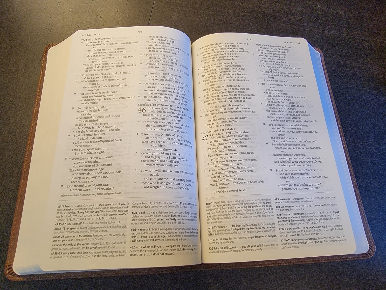 ESV Concise Study Bible(tm) (TruTone, Brown) by Not Available (2021,…