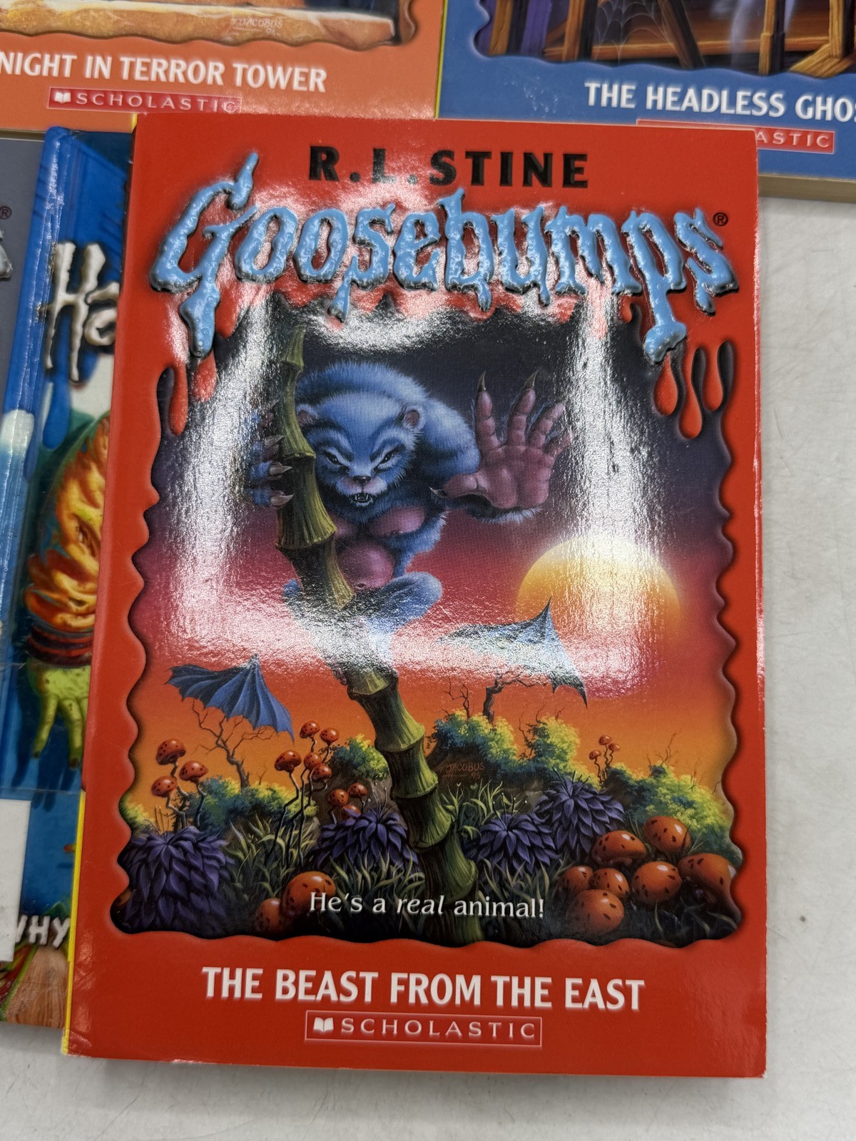 Goosebumps R.L. Stine 22 Book Lot Scholastic Paperback Horror Kids Collection
