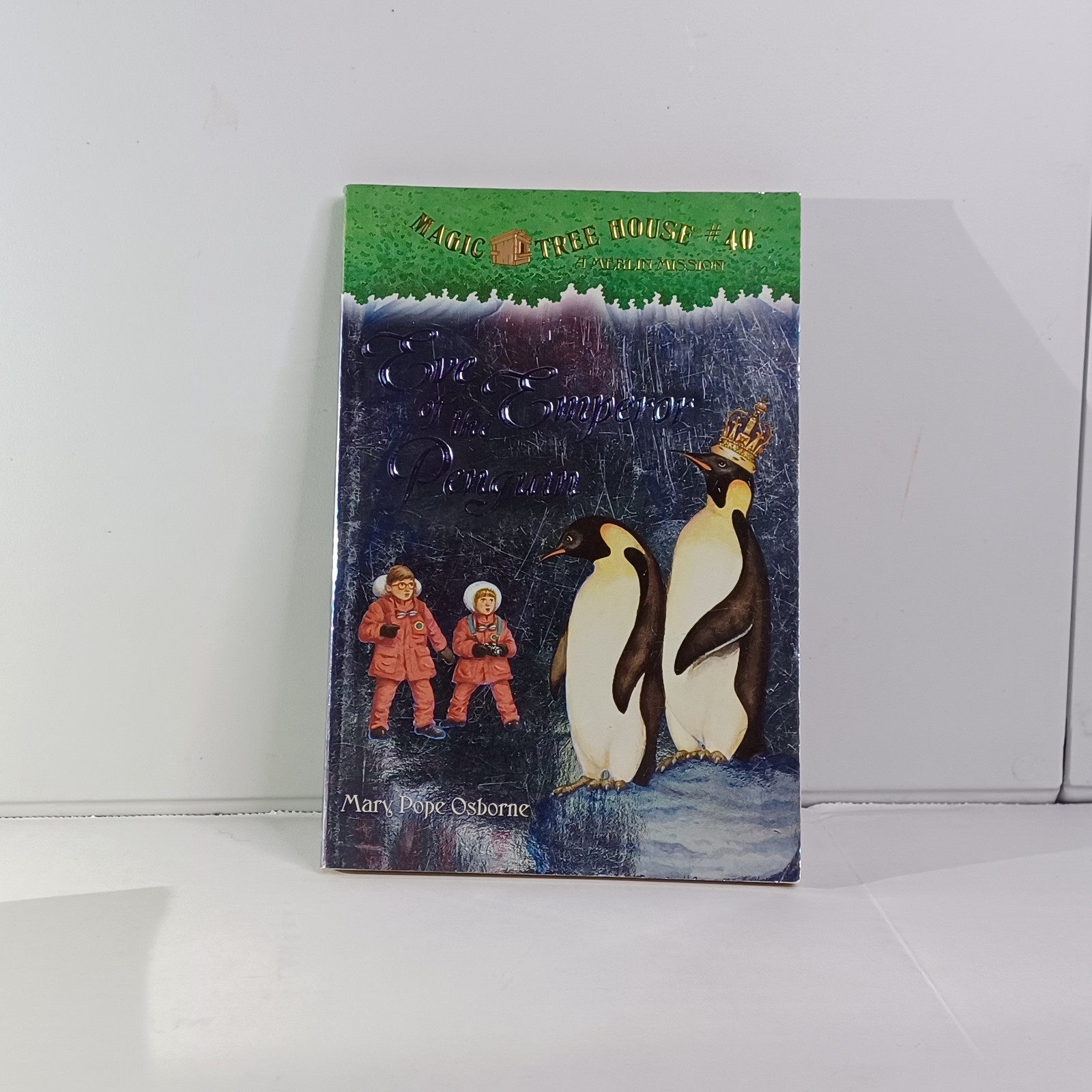 Magic Tree House Book Lot (13 Books) Mary Pope Osborne – Mixed Numbers