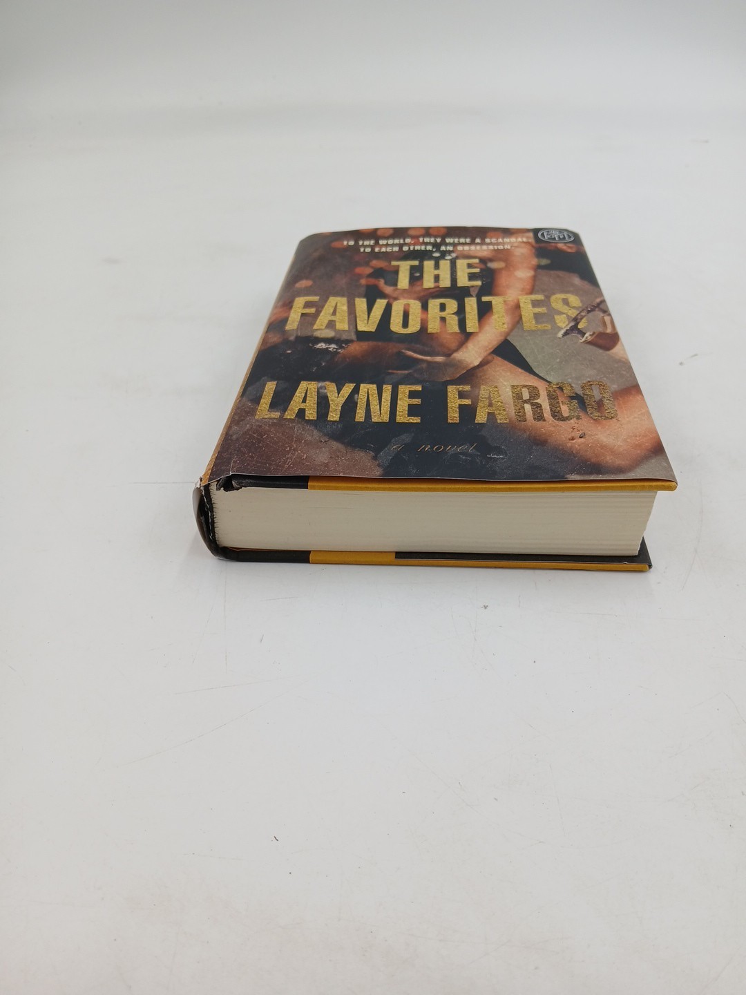 The Favorites A Novel by Layne Fargo Book of the Month Edition Hardcover