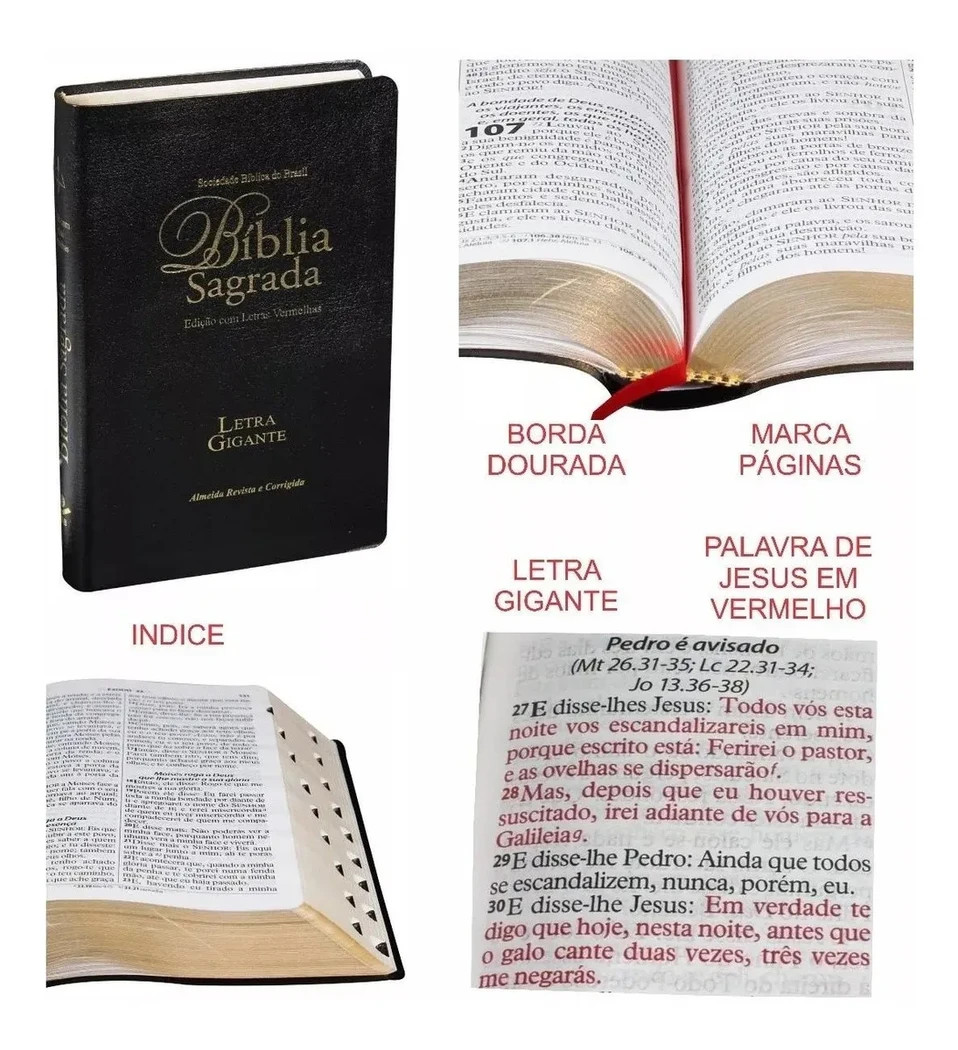 Biblia Sagrada: ARC – Capa: Flexivel em Couro – Letra: Gigante (Portugues)