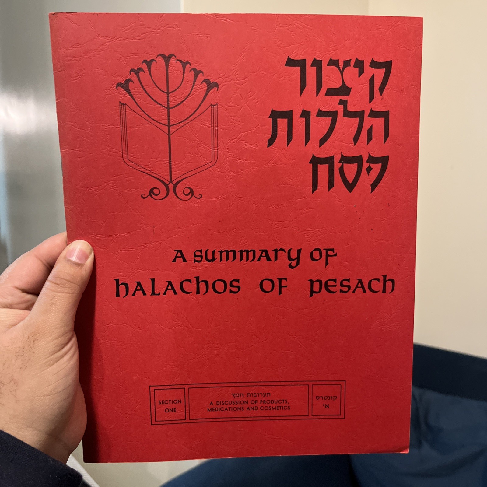 Summary of Halachos of Pesach Jewish Law Guide Hebrew English Book