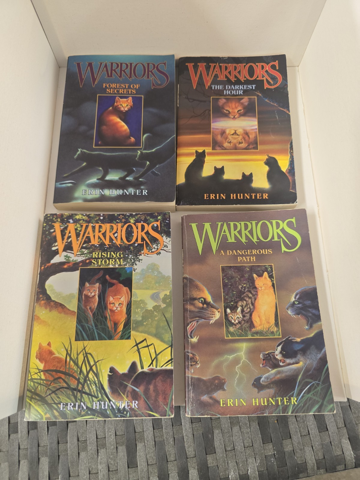 Warriors Cat Novels Lot of 12 Books Erin Hunter Sunrise Starlight Dawn Destiny