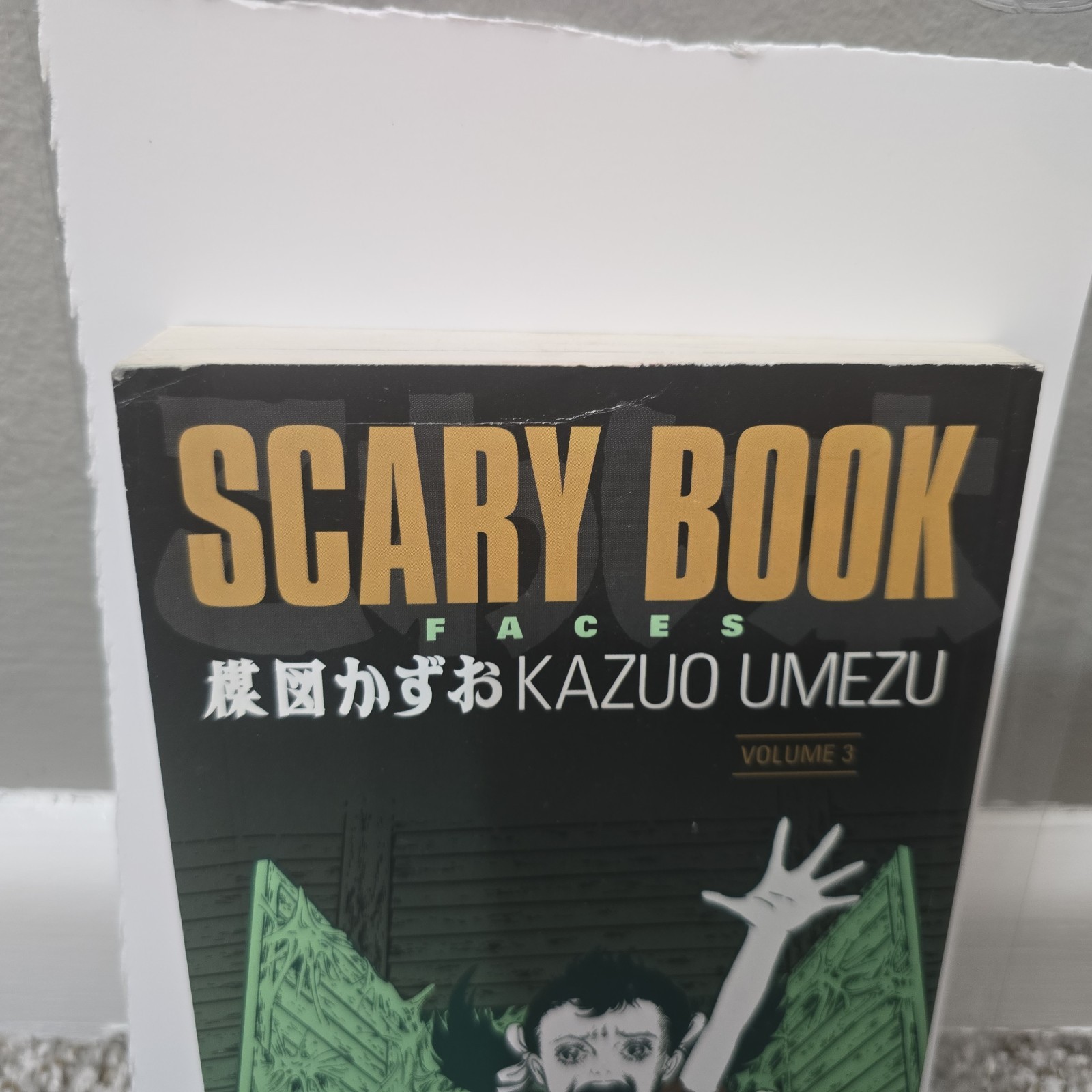 Scary Book Volume 3: Faces by Umezu, Kazuo Paperback / softback Book The Fast