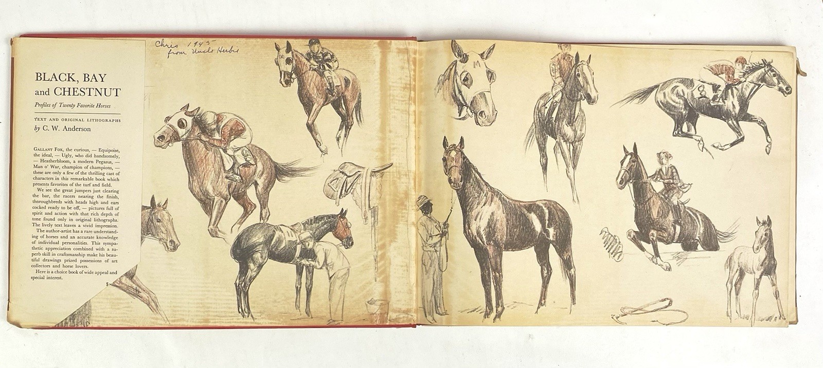 Black, Bay and Chestnut: Profiles of Twenty-Favorite Horses by C.W Anderson 1939