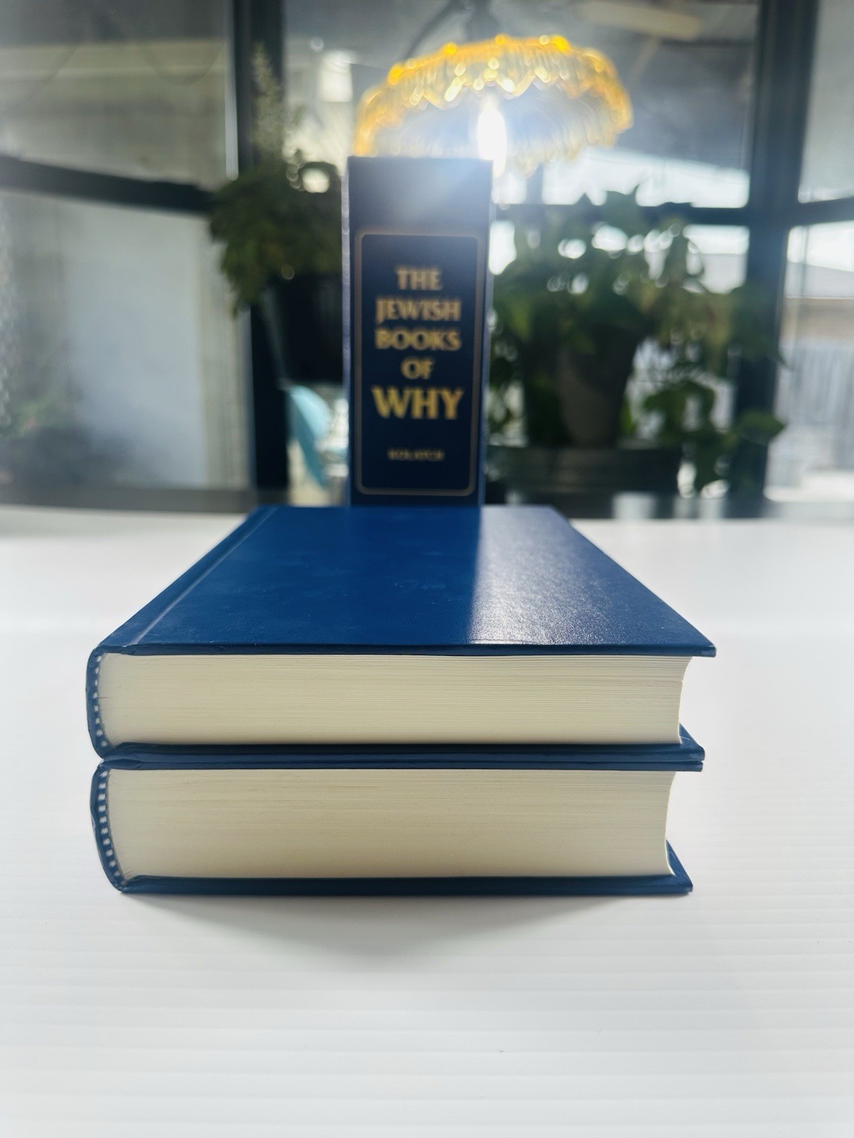 The Jewish Book of Why and Second Book by Alfred J. Kolatch 2 Book Box Set