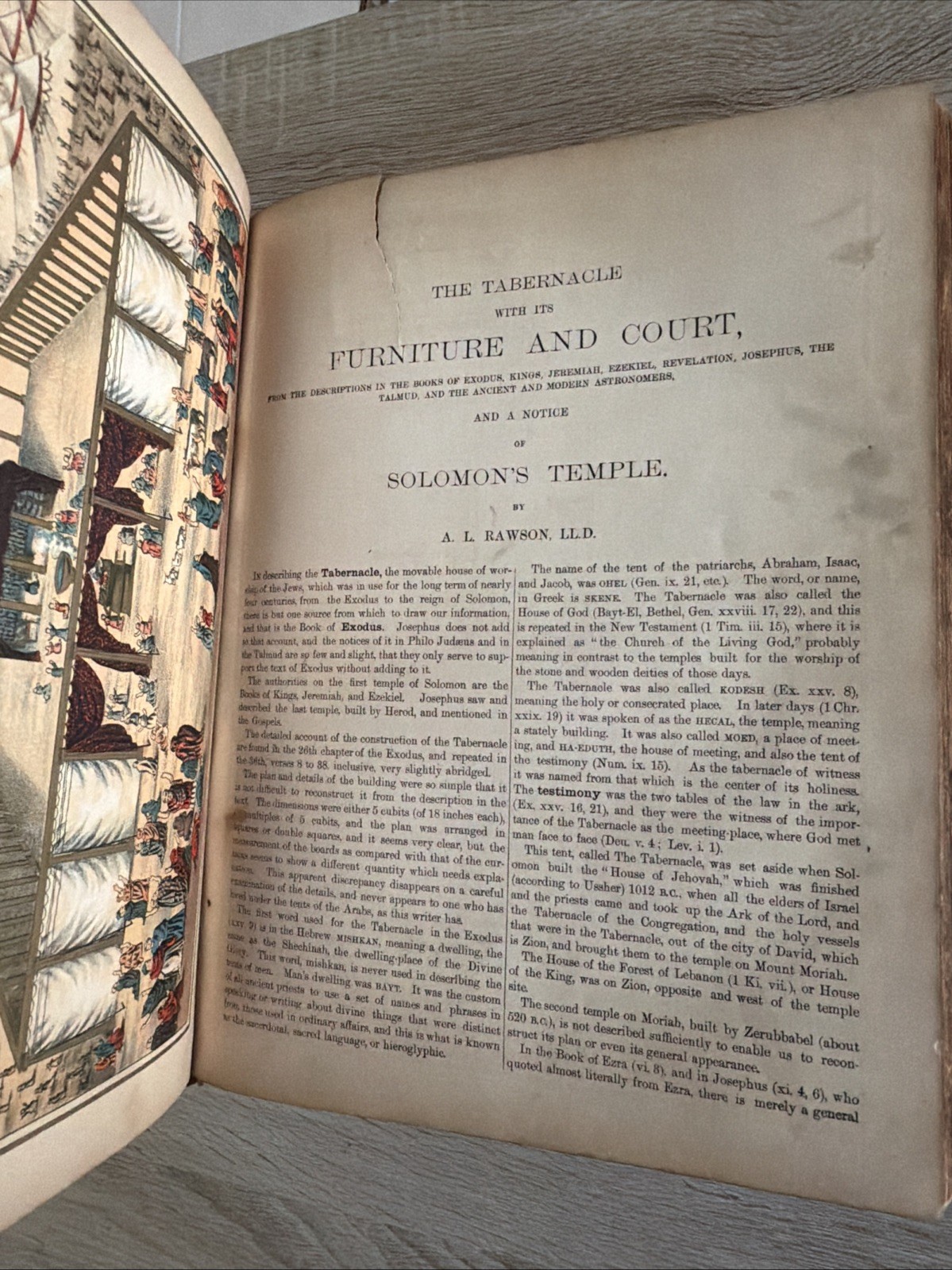 Antique 1800s The Holy Bible Revised with Annotations by the Rev. R. Challoner