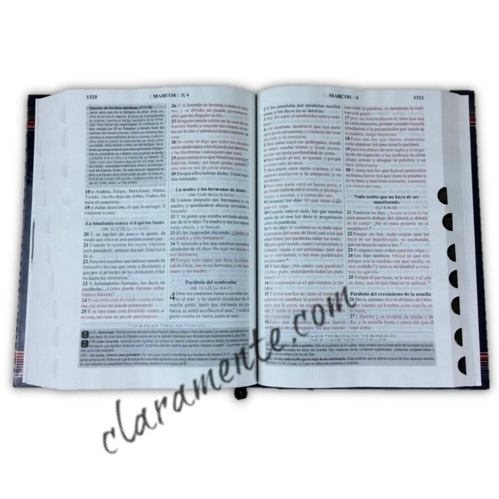 Biblia Pastoral de Estudio Senda de Vida Ampliada RV1960 marrón con indice