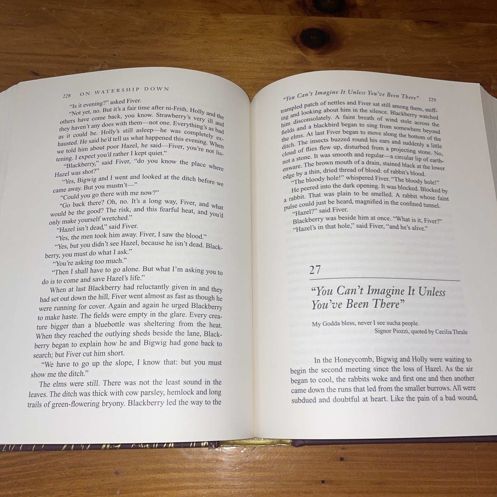 WATERSHIP DOWN Richard Adams & Aldo Galli 2012 Atheneum HB
